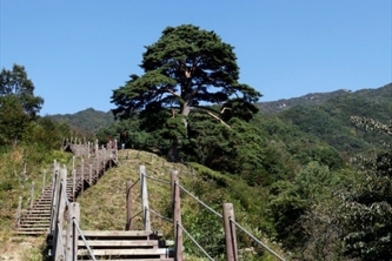 智異山國立公園 (1/2)
