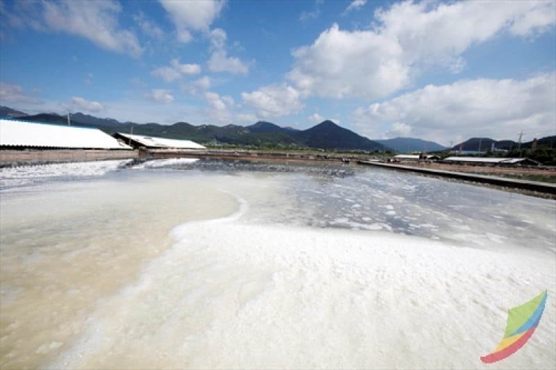 熊沼鹽田 (1/7)