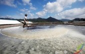 熊沼鹽田