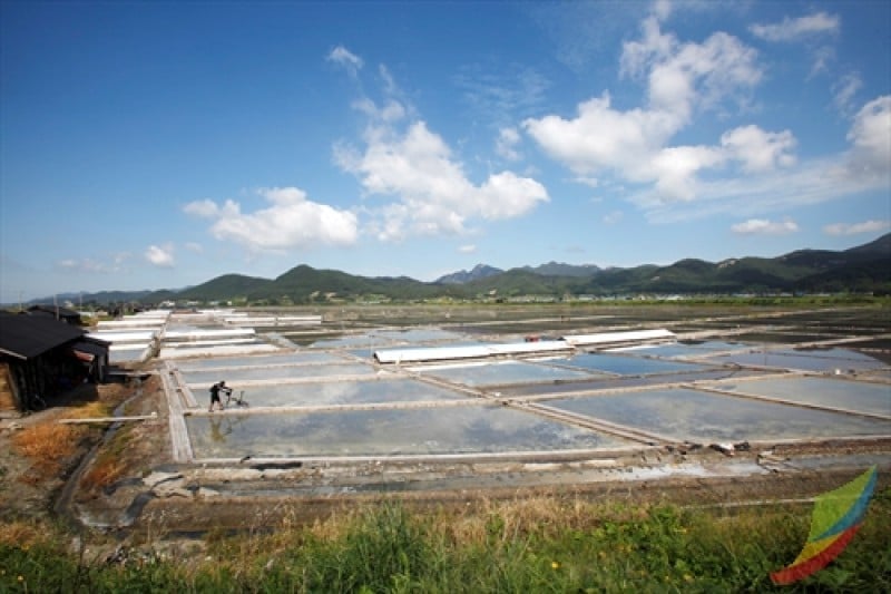 熊沼鹽田 (7/7)