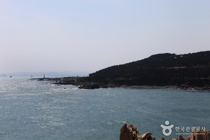 大王岩公園 (1/58)