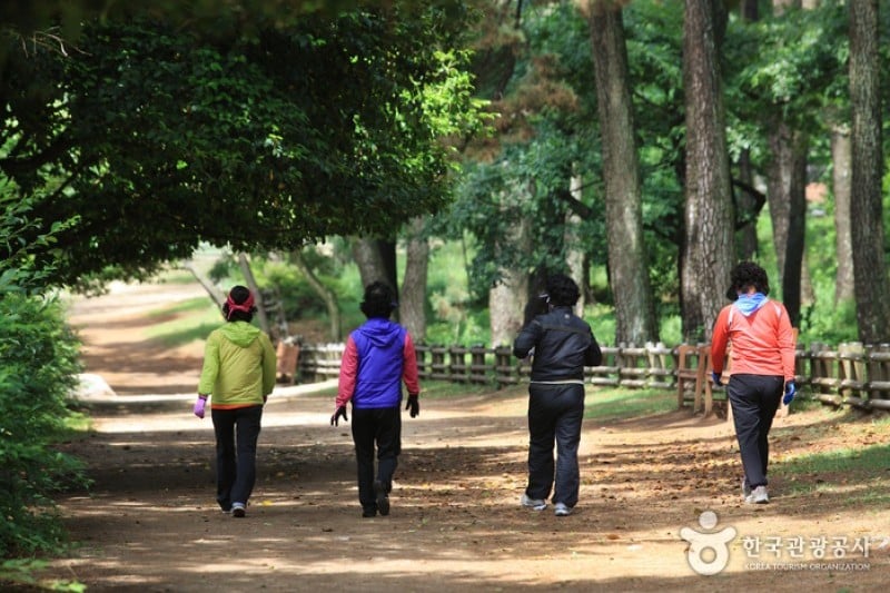 大王岩公園 (5/58)