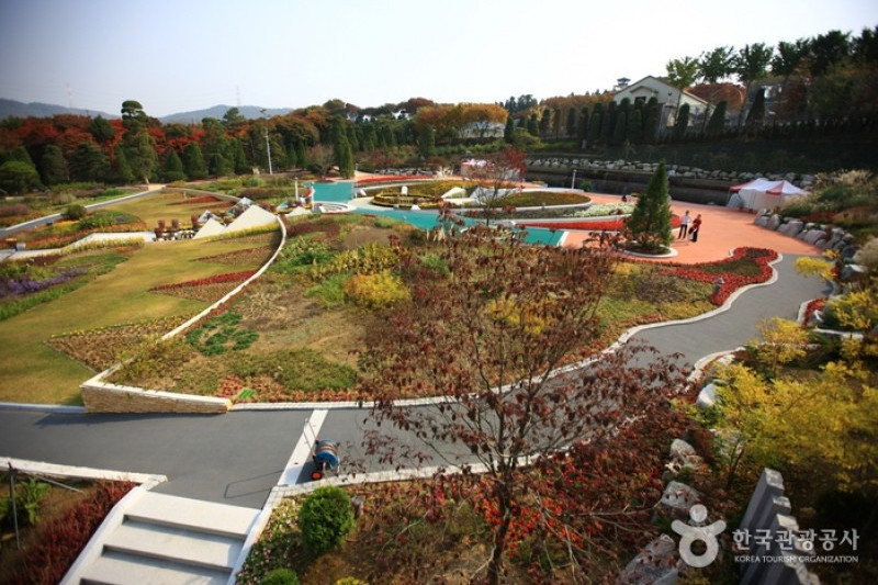 Beartree公園 (1/19)