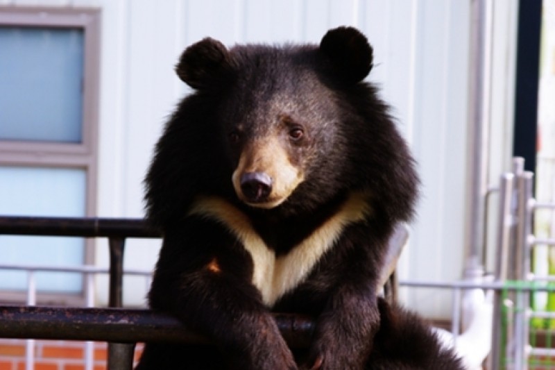 Beartree公園 (2/19)