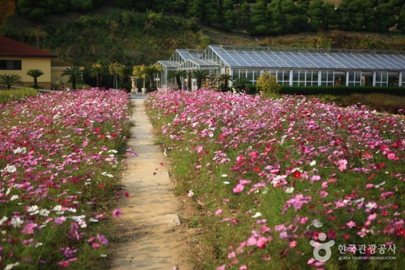 Beartree公園 (9/19)