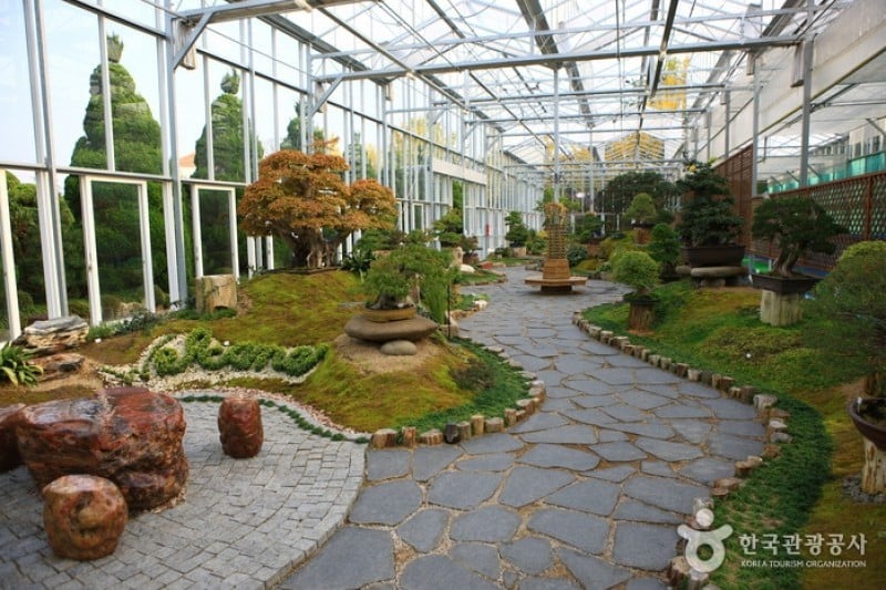 Beartree公園 (10/19)