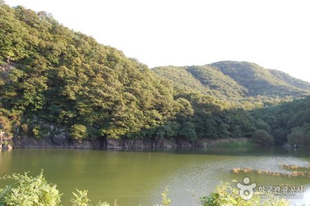 蔚州大谷里盤龜台岩刻畫