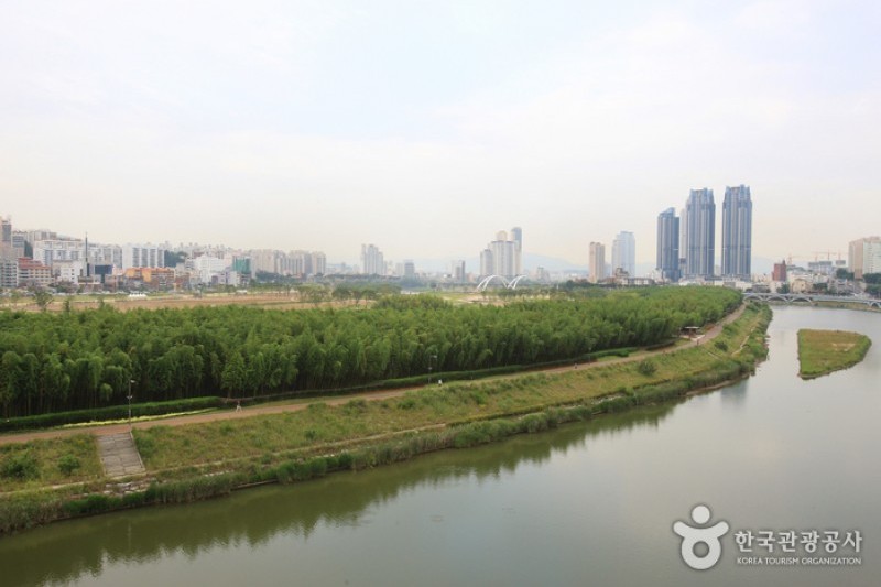 太和江大公園