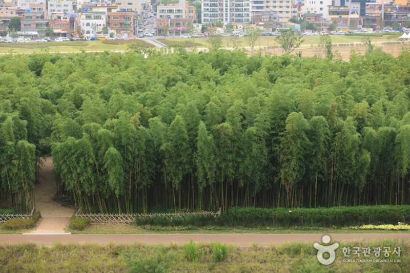 太和江大公園