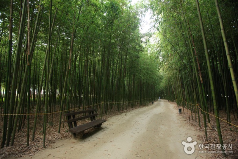 太和江大公園