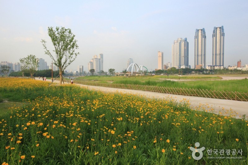 太和江大公園