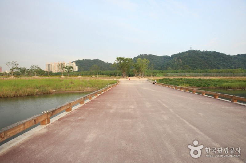 太和江大公園