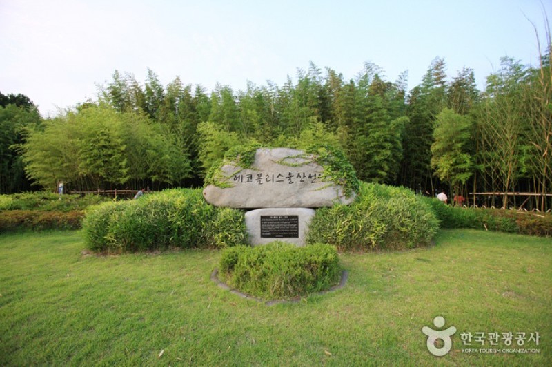 太和江大公園