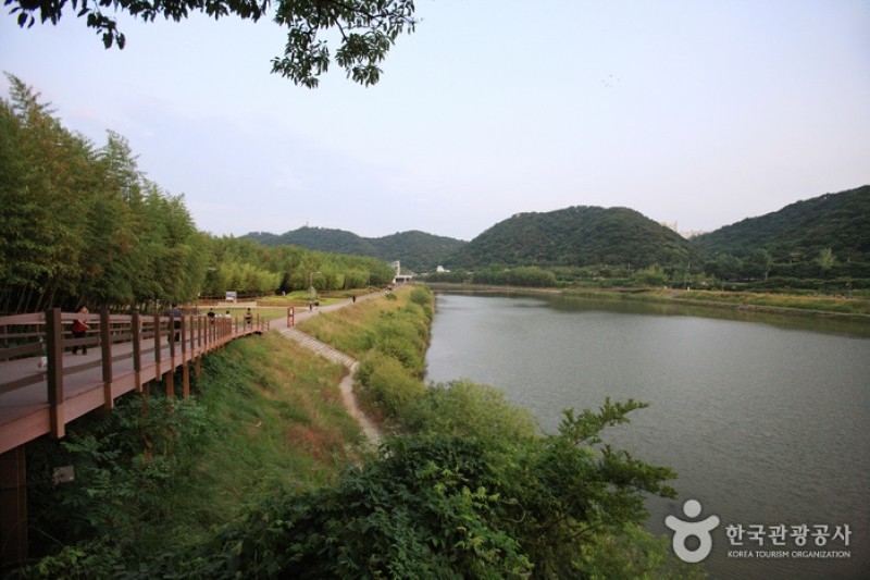 太和江大公園