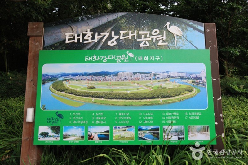 太和江大公園