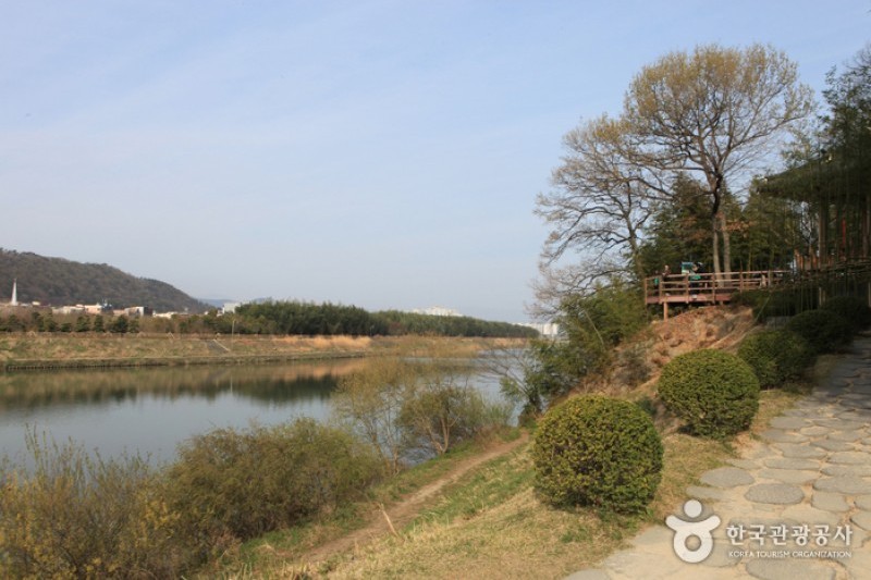 太和江大公園
