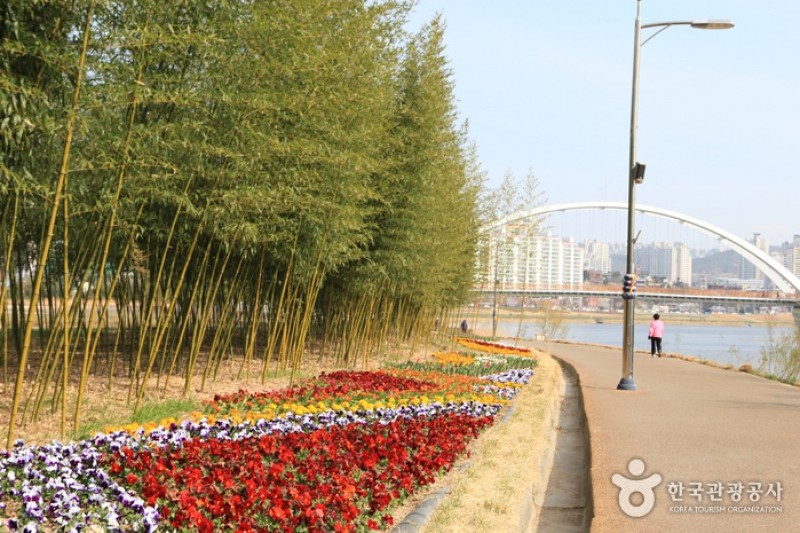 太和江大公園