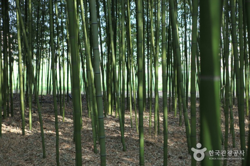 太和江大公園