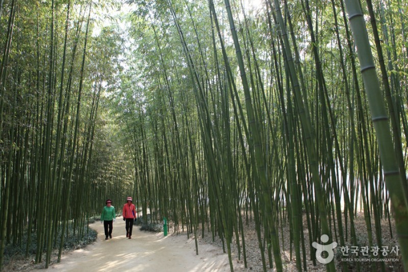太和江大公園