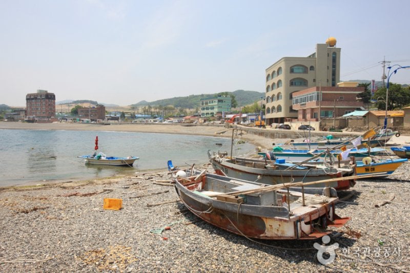 新明亭子海岸 (2/22)