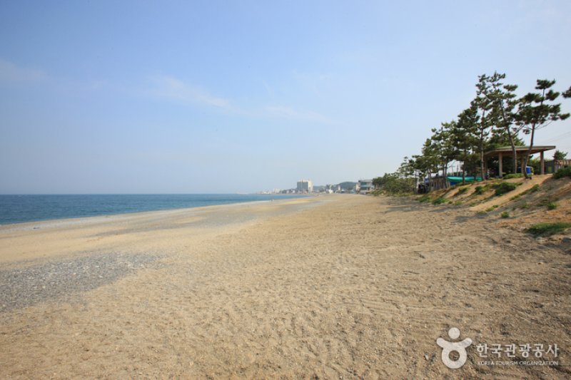 新明亭子海岸 (17/22)