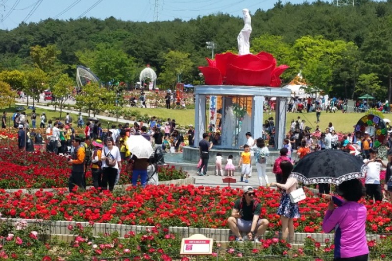 蔚山大公園玫瑰節 (1/5)