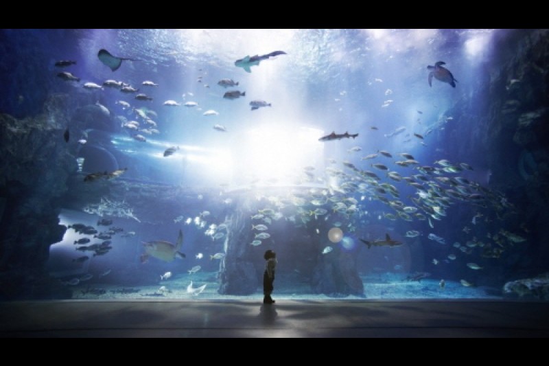 麗水Aqua Planet海洋世界