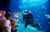 麗水Aqua Planet海洋世界