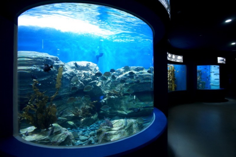 麗水Aqua Planet海洋世界