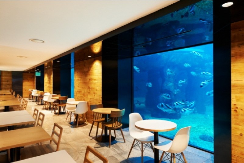 麗水Aqua Planet海洋世界