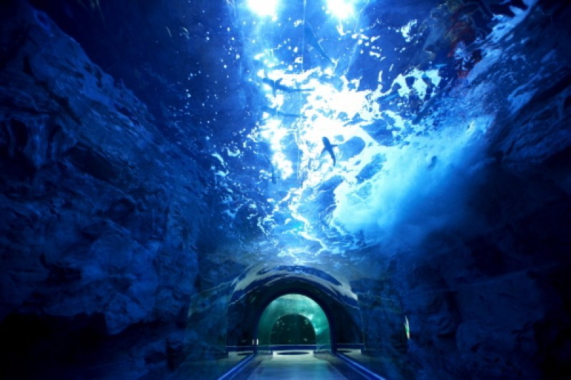 麗水Aqua Planet海洋世界