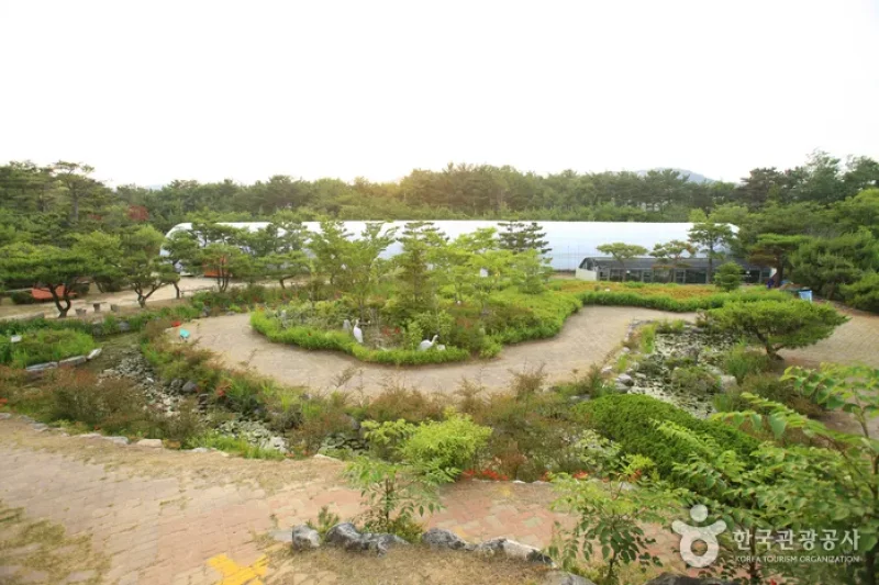 蔚山主題植物樹木園 (1/31)