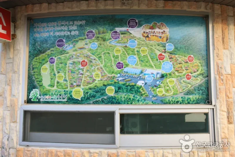 蔚山主題植物樹木園 (5/31)