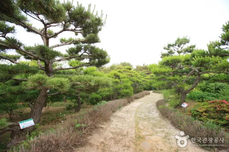 蔚山主題植物樹木園 (8/31)