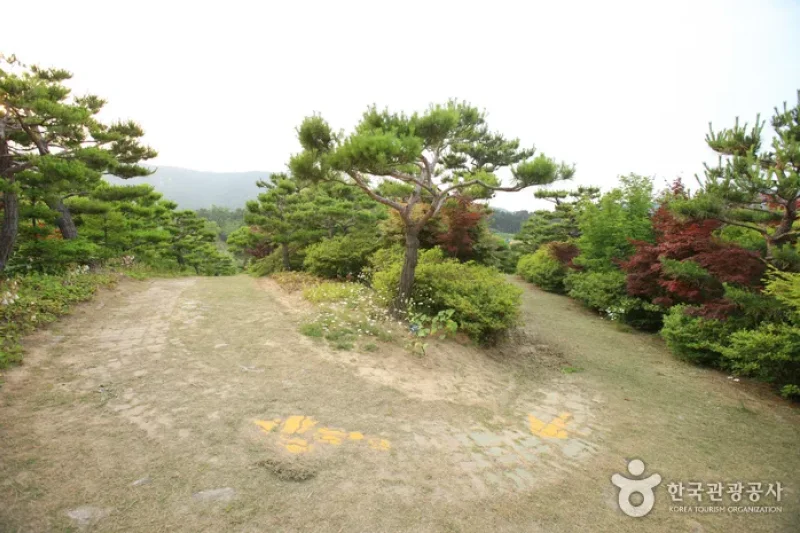 蔚山主題植物樹木園 (15/31)
