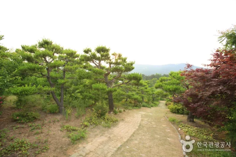 蔚山主題植物樹木園 (16/31)