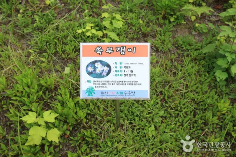 蔚山主題植物樹木園 (17/31)