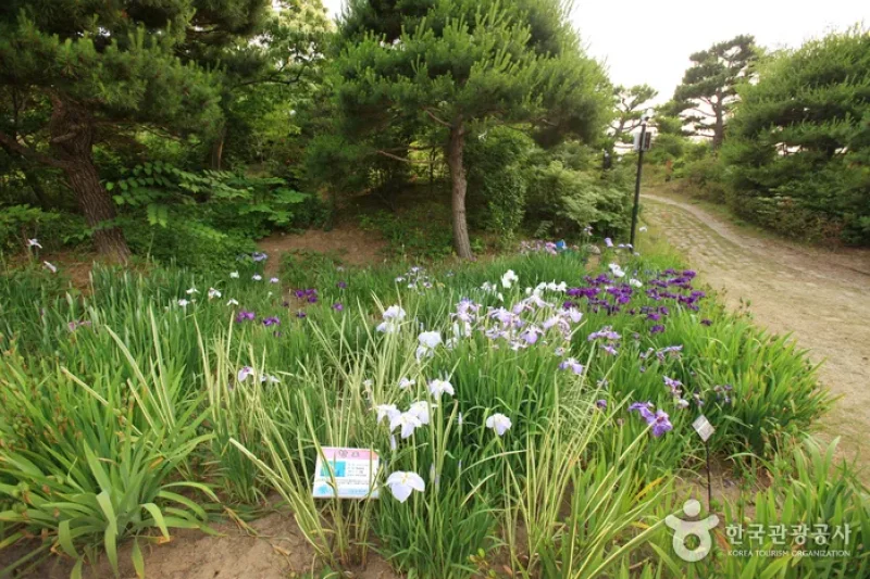 蔚山主題植物樹木園 (18/31)