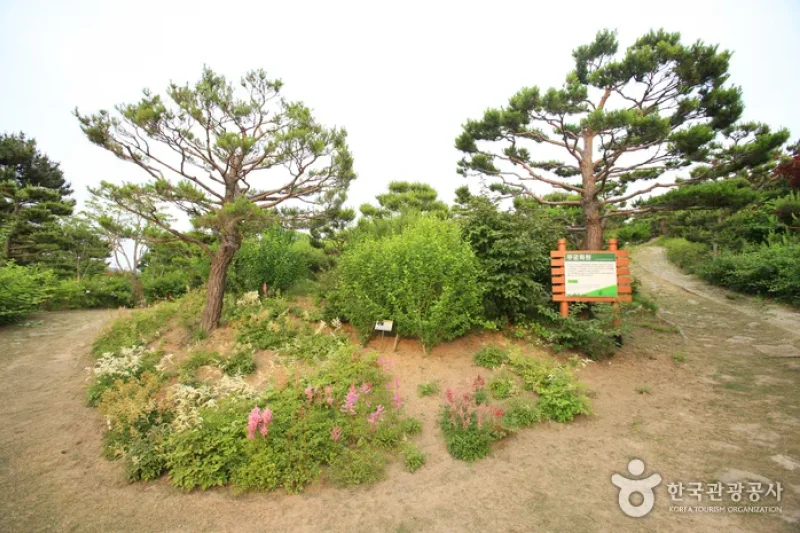 蔚山主題植物樹木園 (19/31)