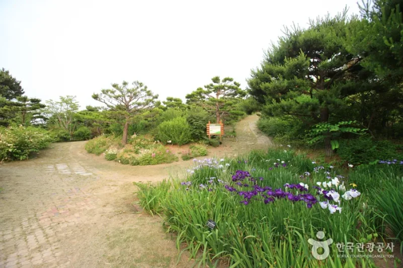 蔚山主題植物樹木園 (20/31)