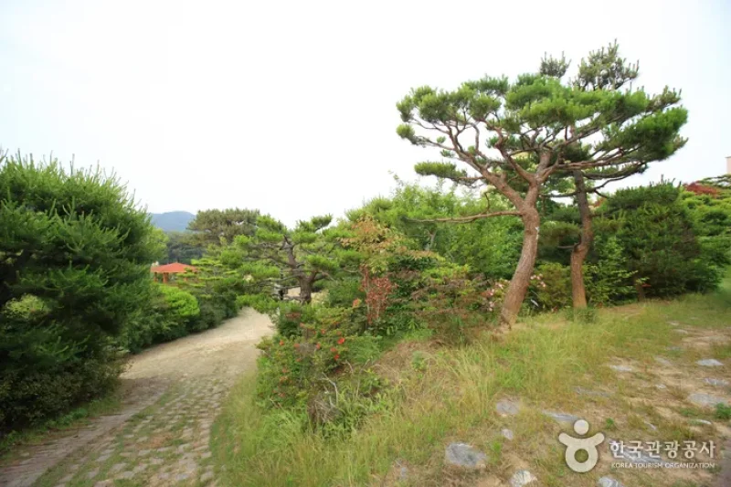 蔚山主題植物樹木園 (21/31)