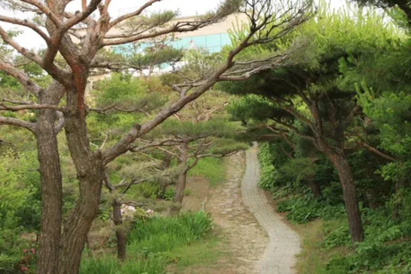 蔚山主題植物樹木園 (22/31)