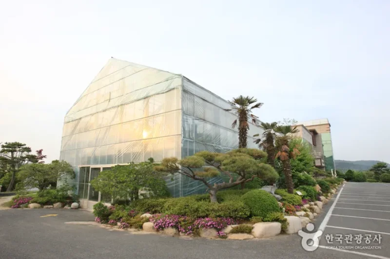 蔚山主題植物樹木園 (26/31)