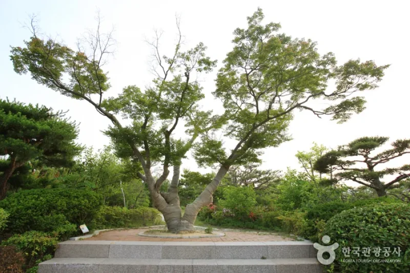 蔚山主題植物樹木園 (27/31)