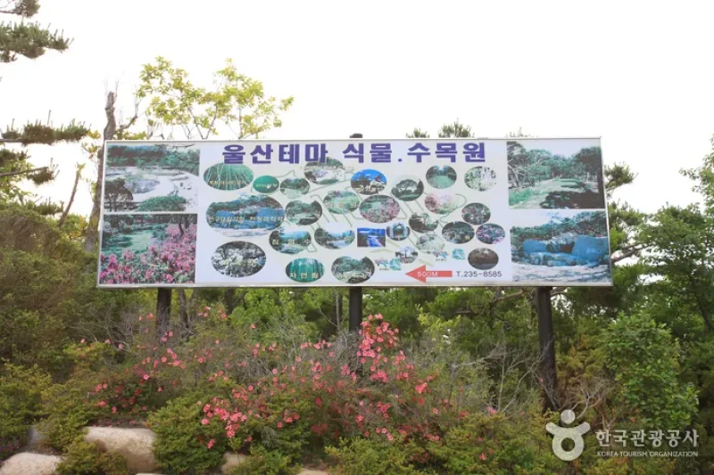 蔚山主題植物樹木園 (29/31)