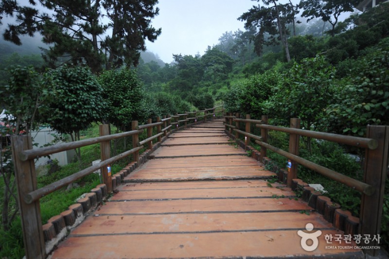 白岫海岸道路(백수해안도로) (3/24)
