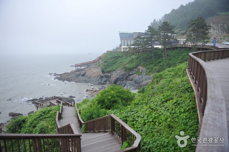 白岫海岸道路(백수해안도로) (4/24)