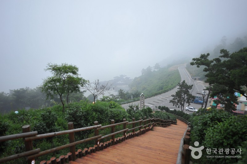 白岫海岸道路(백수해안도로) (5/24)