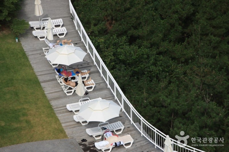 Sun Cruise主題樂園 (7/21)