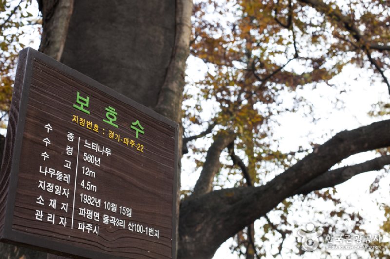花石亭화석정 (11/11)